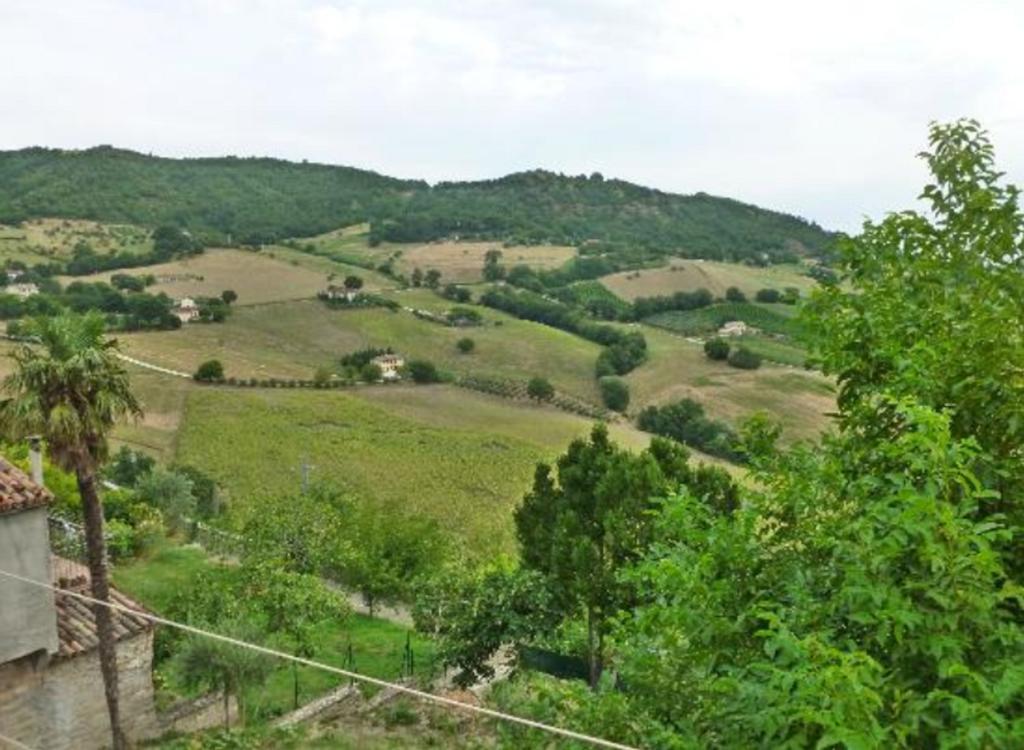B&B Il Colle Serra San Quirico 外观 照片